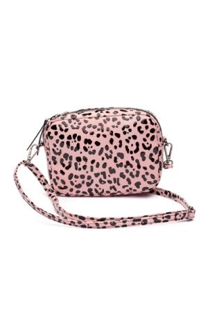 Zebra Trends 409903