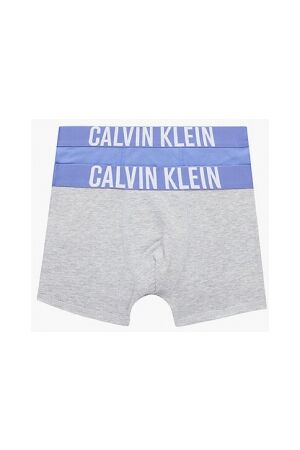Calvin Klein Ondergoed Calvin Klein B70B700381