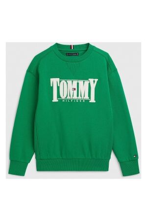 Tommy Hilfiger  Truien & Sweats Tommy Hilfiger  KB0KB07776