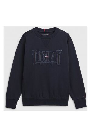 Tommy Hilfiger  Truien & Sweats Tommy Hilfiger  KB0KB07776