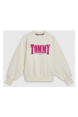 Tommy Hilfiger  Truien & Sweats Tommy Hilfiger  KG0KG06953