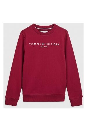 Tommy Hilfiger  Truien & Sweats Tommy Hilfiger  KS0KS00204