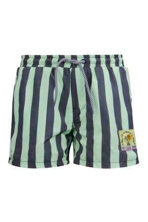 Retour Pele RJB-31-104