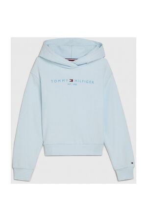 Tommy Hilfiger  Truien & Sweats Tommy Hilfiger  KGOKGO7204