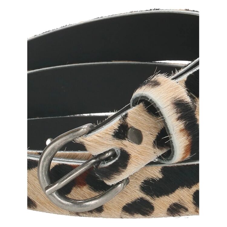 Beagles 20258 20258 - www.romeynkids.nl - Romeyn Kids