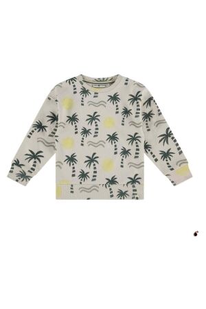 Stains & Stories Truien & Sweats Stains & Stories SSA25207423