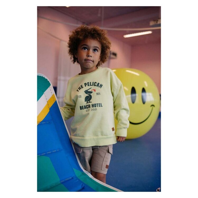 Stains & Stories SSA25207427 SSA25207427 - www.romeynkids.nl - Romeyn Kids Stains & Stories SSA25207427 SSA25207427 - www.romeynkids.nl - Romeyn Kids