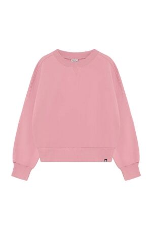 Indian Blue Jeans Truien & Sweats Indian Blue Jeans 970731 Back Mesh Sweater