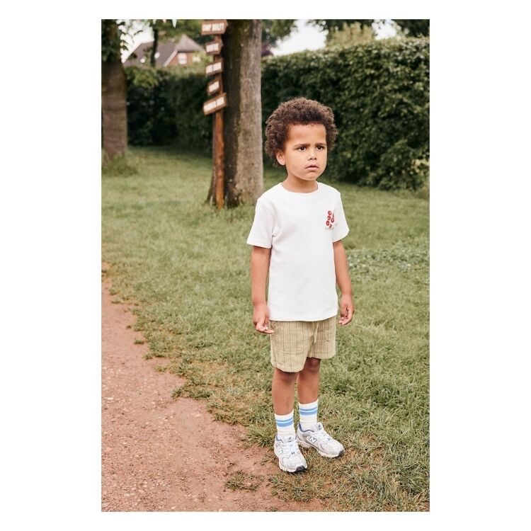 Daily Seven 920327 Shorts Small Stripe 920327 Shorts Small Stripe - www.romeynkids.nl - Romeyn Kids