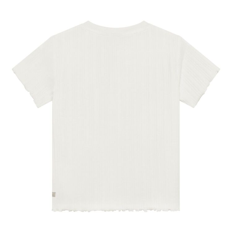 Daily Seven 930344 T-Shirt Artwork 930344 T-Shirt Artwork - www.romeynkids.nl - Romeyn Kids Daily Seven 930344 T-Shirt Artwork 930344 T-Shirt Artwork - www.romeynkids.nl - Romeyn Kids