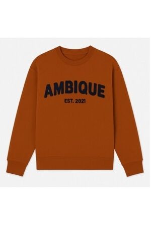 Ambique AMK1080