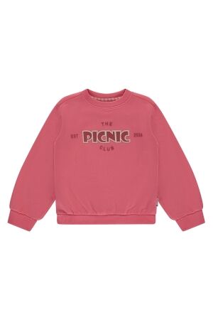 Stains & Stories Truien & Sweats Stains & Stories SSA26108406