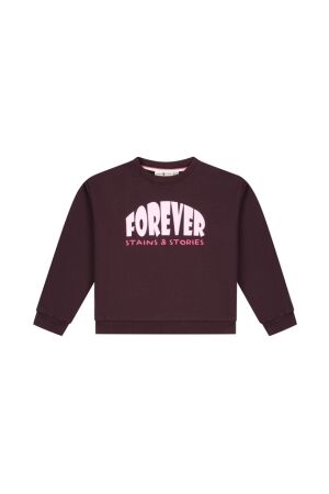 Stains & Stories Truien & Sweats Stains & Stories SSA26408456
