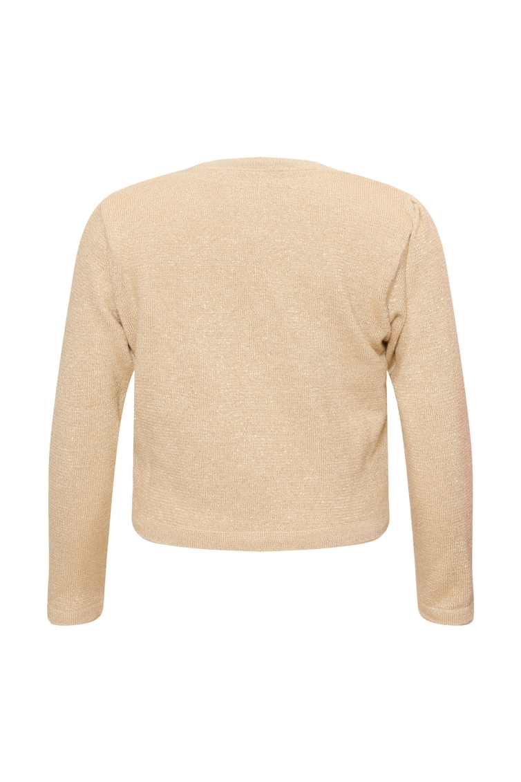 Lebig Uma cardigan CD00100 meisjes vest Geel