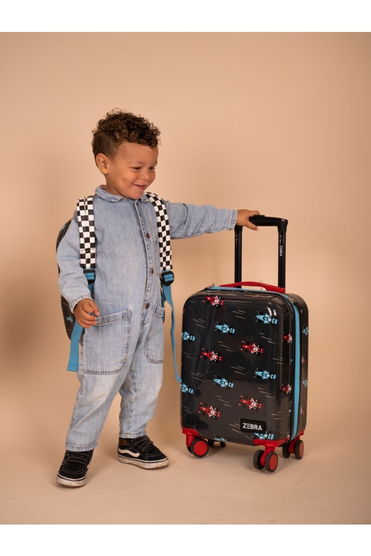 Zebra Trends 21492