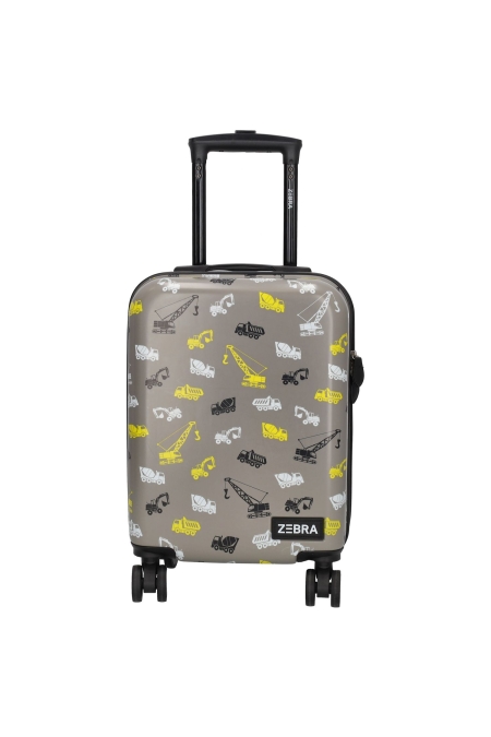 Zebra Trends 21492