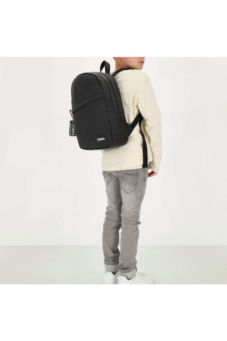 Zebra Trends 22593