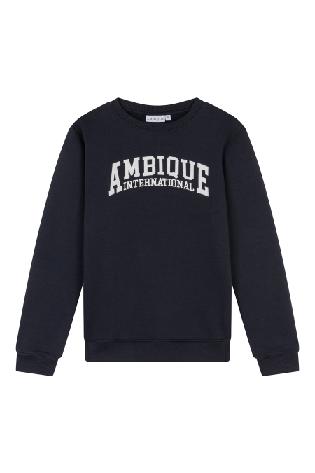 Ambique AMK1033