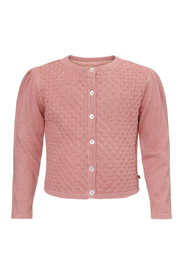 Lebig Vest CD00101 meisjes vest Old pink