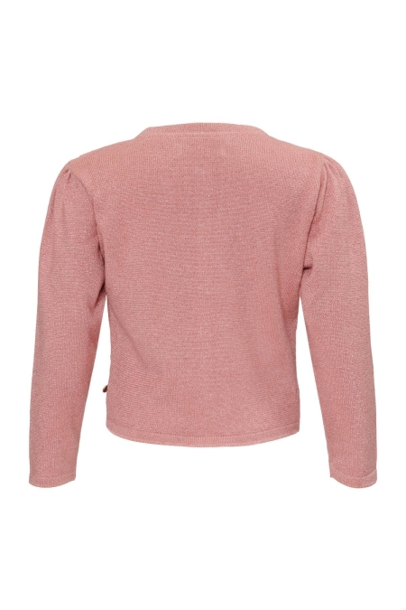 Lebig Vest CD00101 meisjes vest Old pink