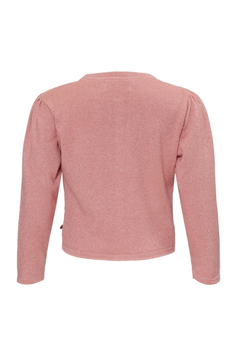Lebig Vest CD00101 meisjes vest Old pink