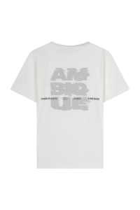 Ambique AMK1049
