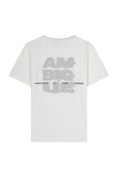Ambique AMK1049