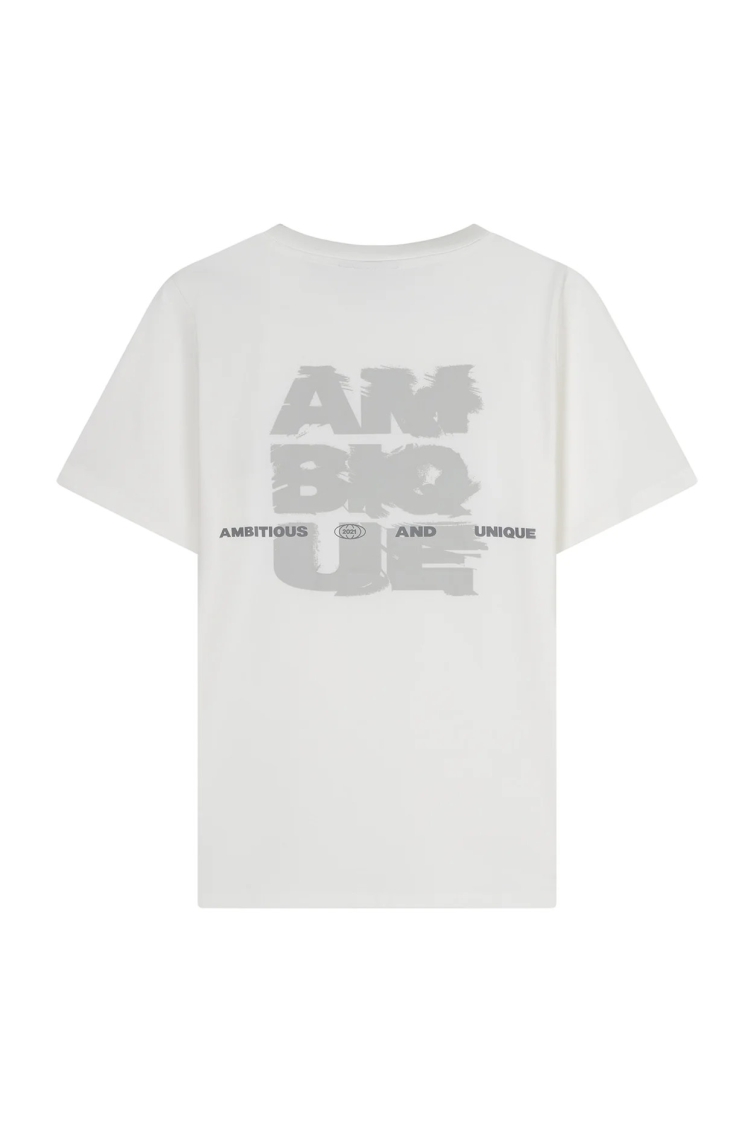Ambique AMK1049