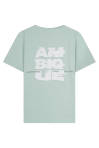 Ambique AMK1049
