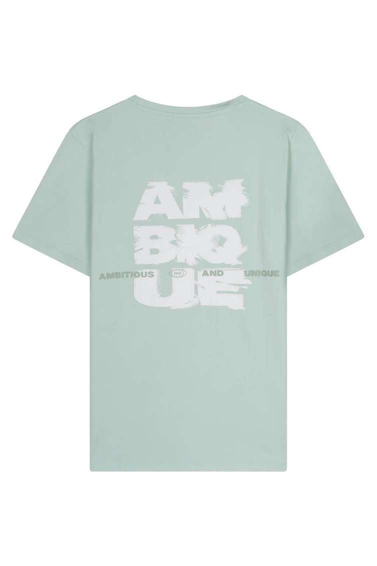 Ambique AMK1049