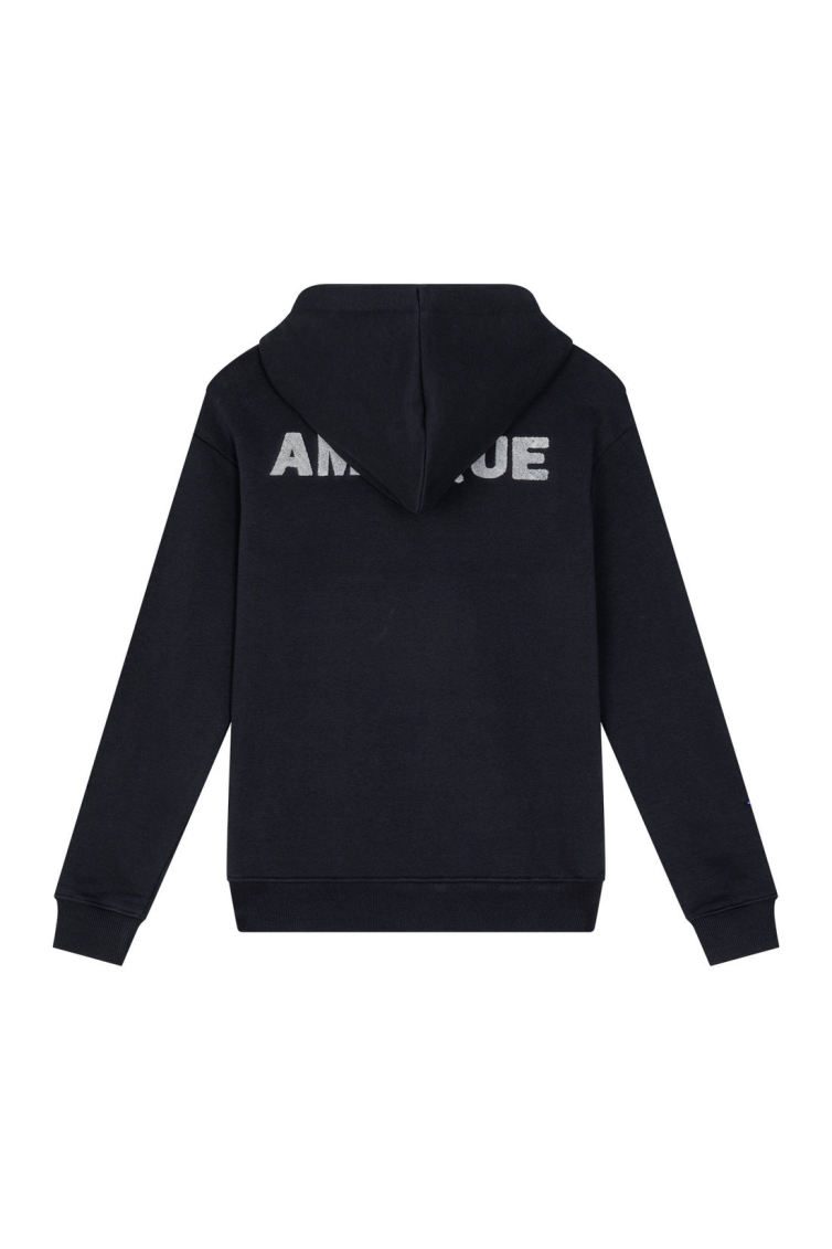 Ambique AMK1081