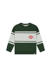 Stains & Stories sweatshirt jongens trui & sweat Groen