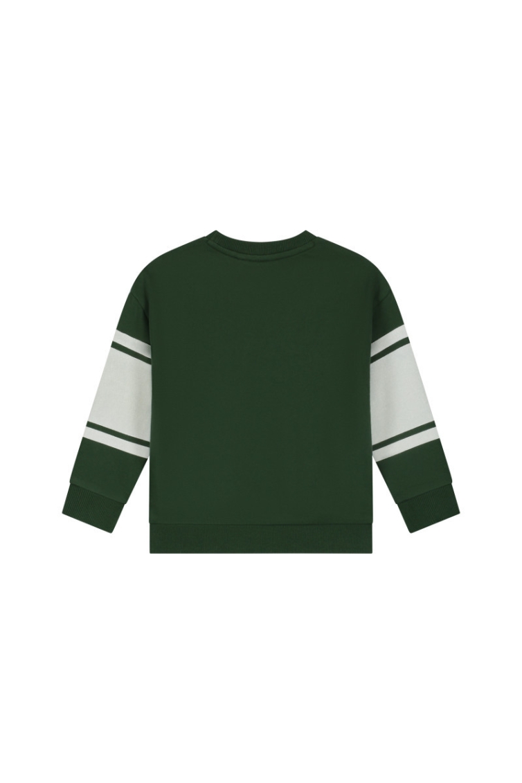 Stains & Stories sweatshirt jongens trui & sweat Groen
